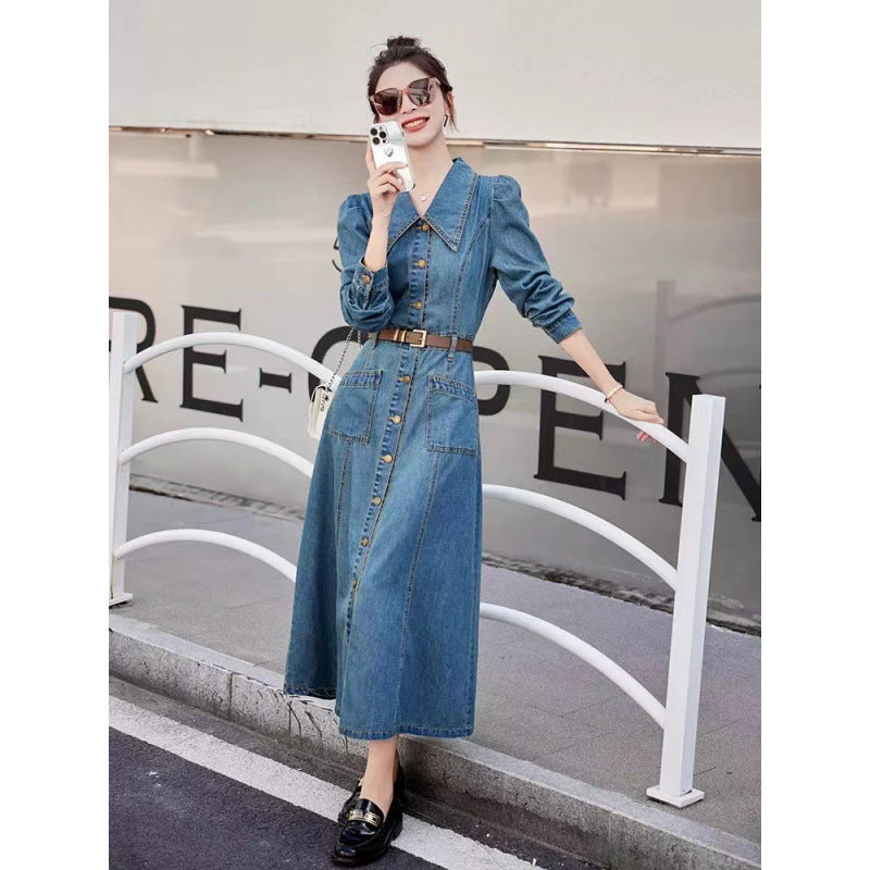 2025 Hong Kong-style retro shawl denim dress women's early autumn new niche chic waist thin medium and long skirt