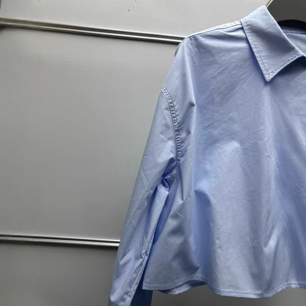 2025 niche women's clothing new blue flower embroidered lapel shirt loose casual long-sleeved cotton top
