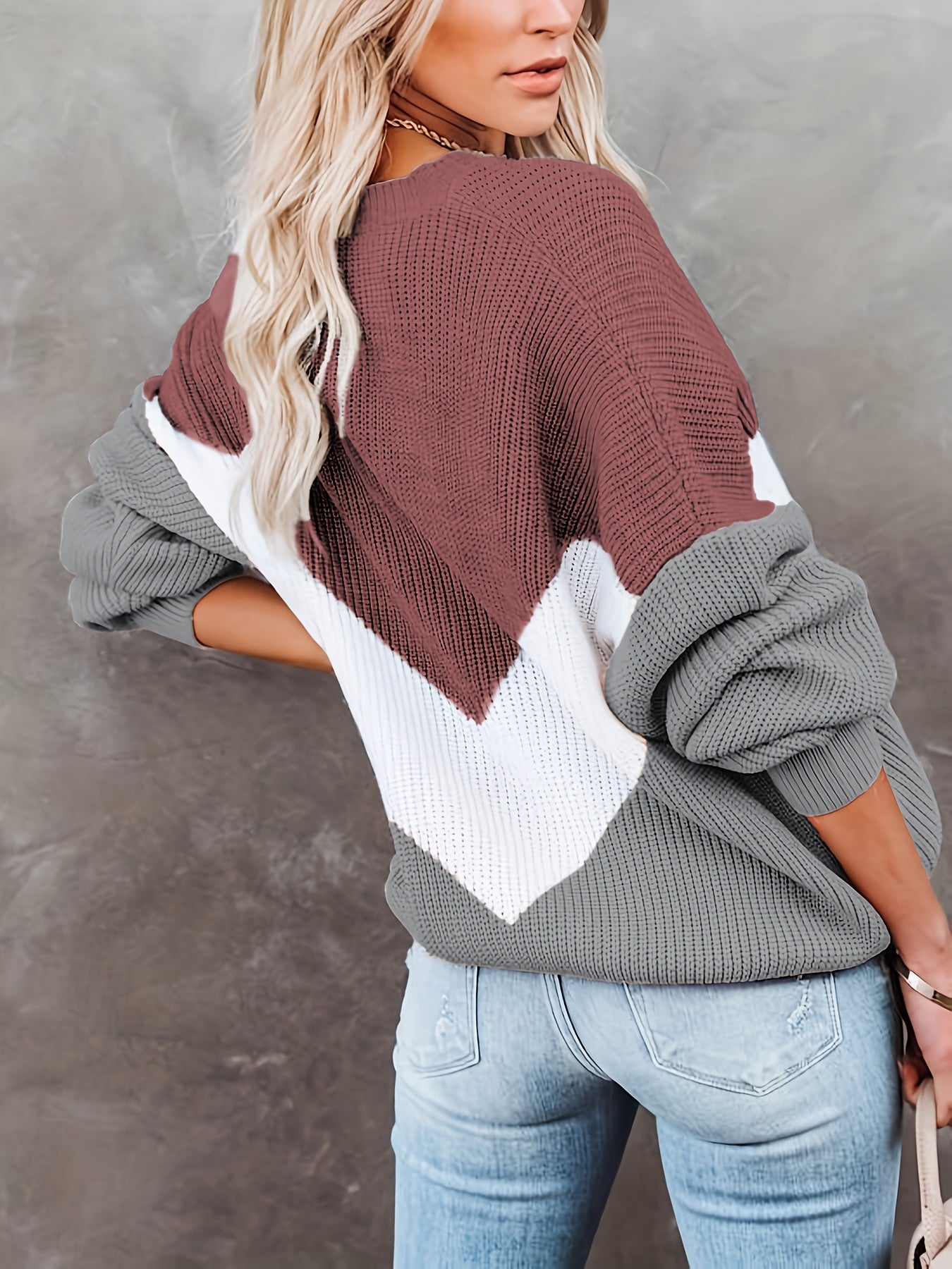 Antmvs Color Block Crew Neck Pullover Sweater, Casual Long Sleeve Sweater For Fall & Winter, Women's Clothing