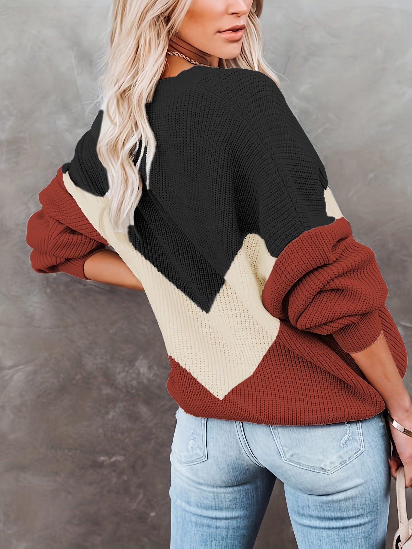 Antmvs Color Block Crew Neck Pullover Sweater, Casual Long Sleeve Sweater For Fall & Winter, Women's Clothing