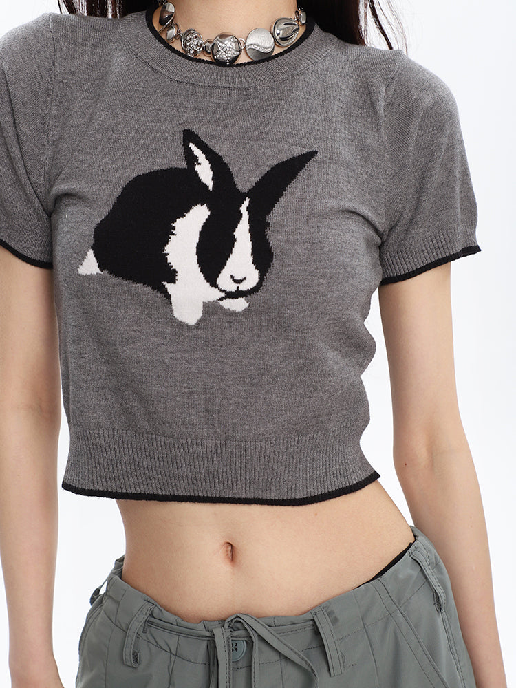 Antmvs Siri Cute Bunny Embroidery Slim Spice Short Sleeve Knitted Cropped Top