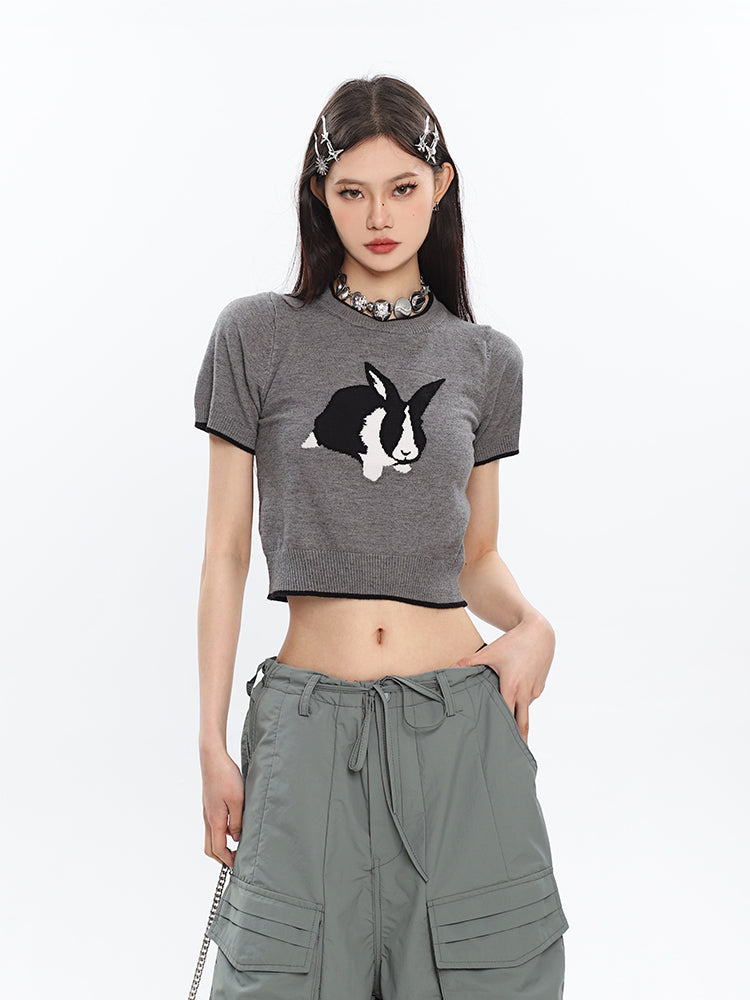 Antmvs Siri Cute Bunny Embroidery Slim Spice Short Sleeve Knitted Cropped Top