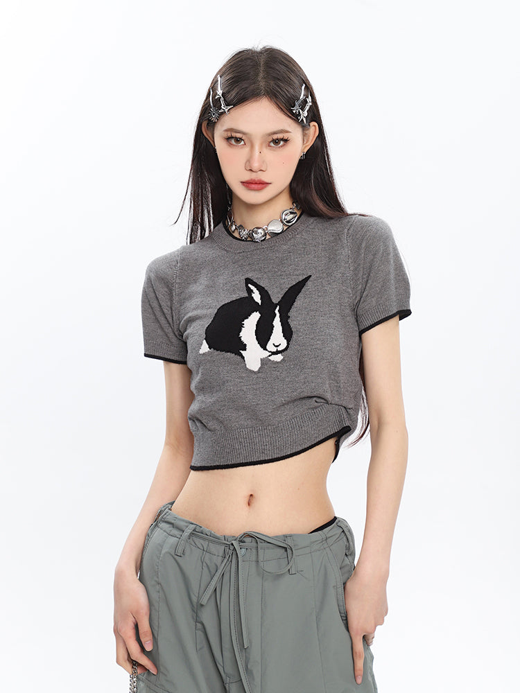 Antmvs Siri Cute Bunny Embroidery Slim Spice Short Sleeve Knitted Cropped Top