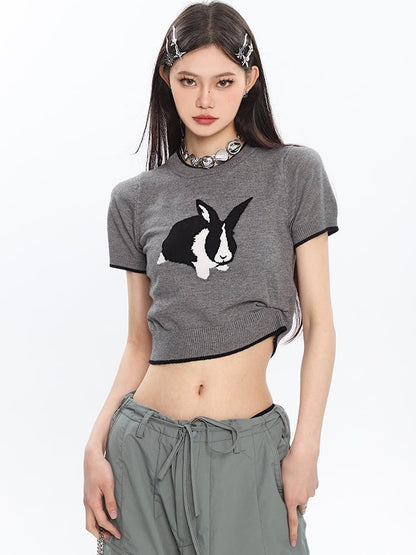 Antmvs Siri Cute Bunny Embroidery Slim Spice Short Sleeve Knitted Cropped Top