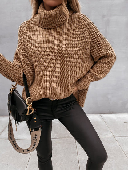 Turtle Neck Knit Sweater